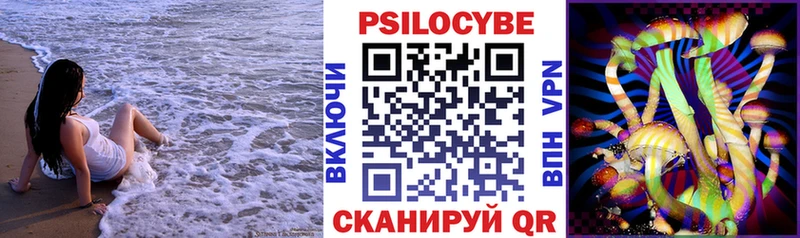 Купить Новосиль Галлюциногенные грибы Psilocybe