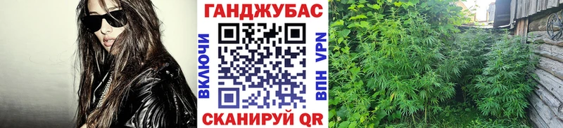 Купить закладки  Новосиль  Каннабис конопля 